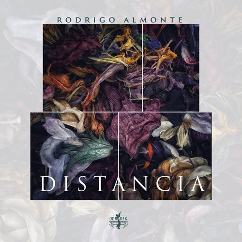 Rodrigo Almonte - Distancia