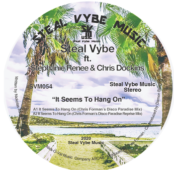 STEAL VYBE - It Seems To Hang On