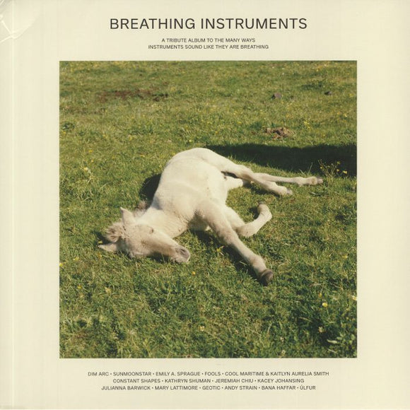 VARIOUS ARTISTS - BREATHING INSTRUMENTS