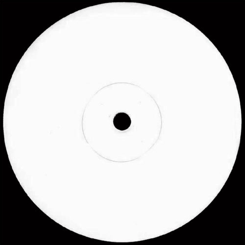 Various Artists - Dissymmetrical Vinyl 04