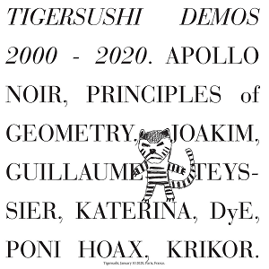 Various Artists - Tigersushi Demos 2000-2020