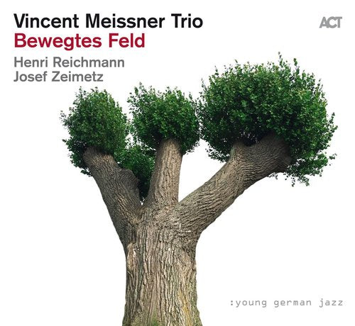 Vincent Meissner Trio - Bewegtes Feld