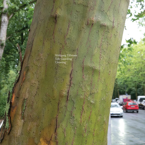 Wolfgang Tillmans - Life Guarding / Growing