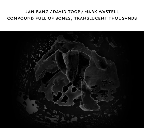 Jan Bang / David Toop / Mark Wastell - Compound Full of Bones, Translucent Thousands