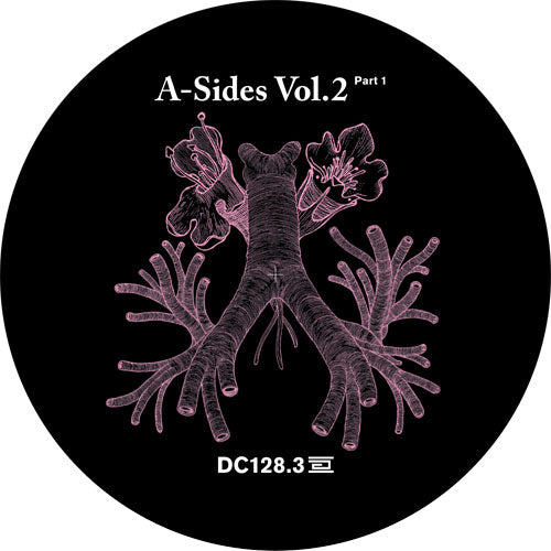 VARIOUS ARTISTS - A SIDES VOLUME II PT1