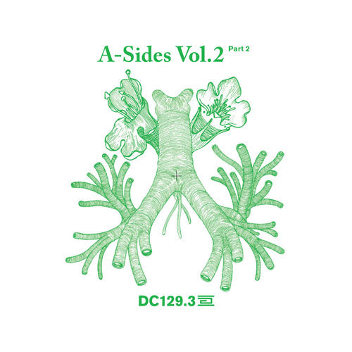 VARIOUS ARTISTS - A SIDES VOLUME II PT2