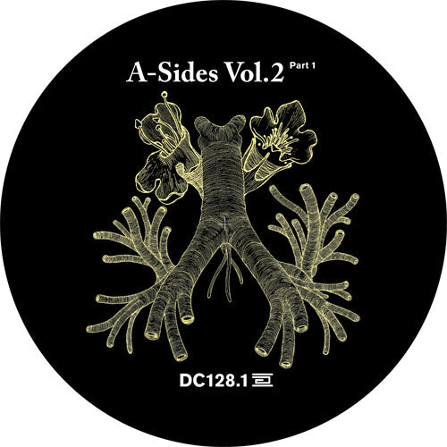 VARIOUS ARTISTS - A SIDES VOLUME II PT1