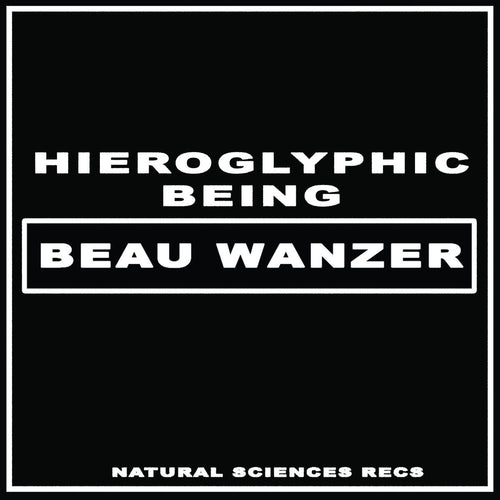 Beau Wanzer / Hieroglyphic Being - 4 Dysfunctional Psychotic Release & Sonic Reprogramming Purposes Only