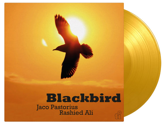 Jaco Pastorius and Ali Rashied - Blackbird (1LP Coloured)